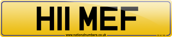 H11 MEF