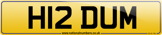H12 DUM