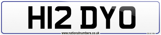 H12 DYO