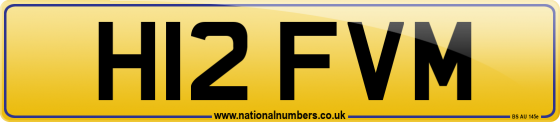 H12 FVM