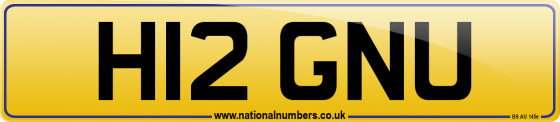 H12 GNU