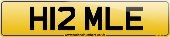 H12 MLE