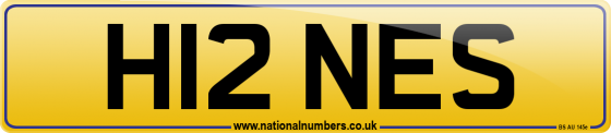H12 NES