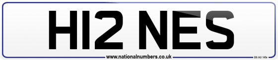 H12 NES