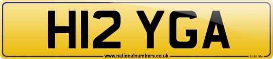 H12 YGA