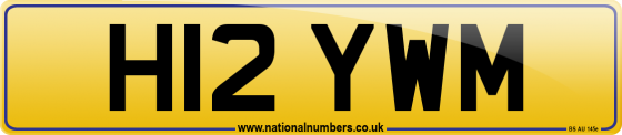 H12 YWM