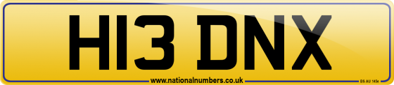 H13 DNX
