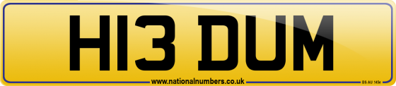 H13 DUM