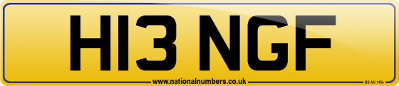 H13 NGF