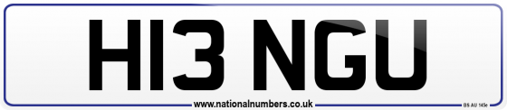 H13 NGU