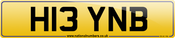 H13 YNB
