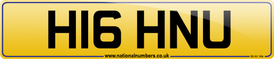 H16 HNU