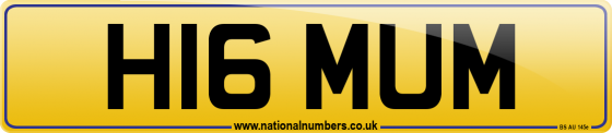 H16 MUM