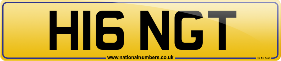 H16 NGT