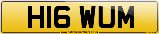 H16 WUM
