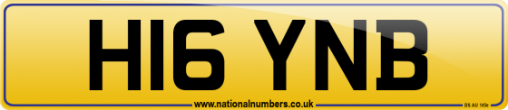 H16 YNB