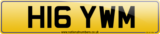 H16 YWM
