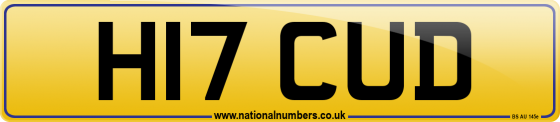 H17 CUD