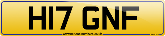 H17 GNF