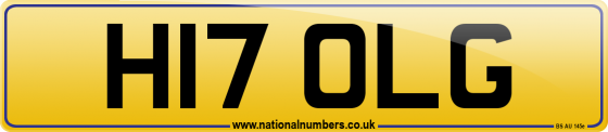 H17 OLG