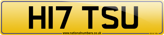 H17 TSU