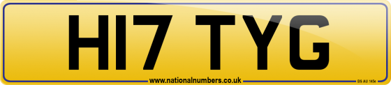 H17 TYG