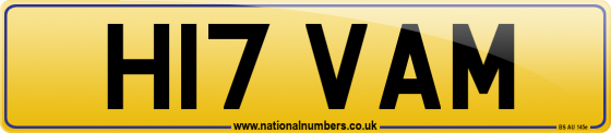 H17 VAM