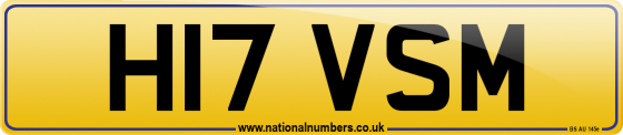 H17 VSM