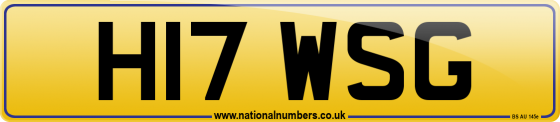 H17 WSG