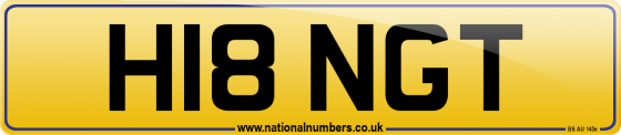 H18 NGT