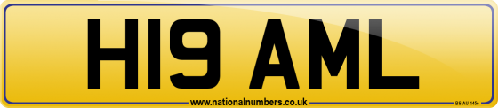 H19 AML