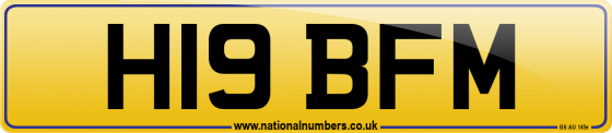 H19 BFM
