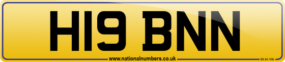 H19 BNN
