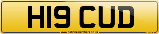 H19 CUD