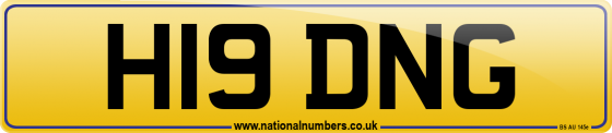 H19 DNG