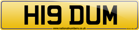 H19 DUM