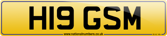 H19 GSM