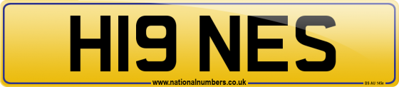 H19 NES
