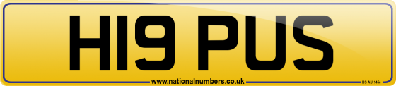 H19 PUS