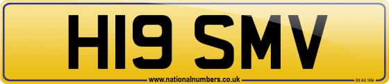 H19 SMV