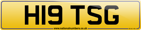 H19 TSG