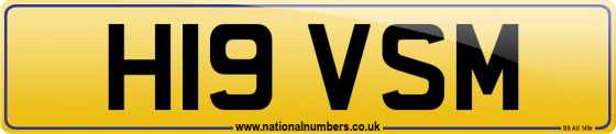 H19 VSM