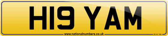 H19 YAM