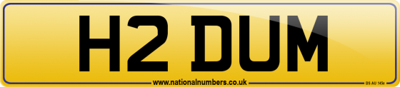 H2 DUM