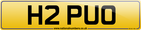 H2 PUO