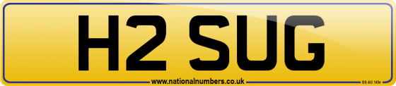 H2 SUG
