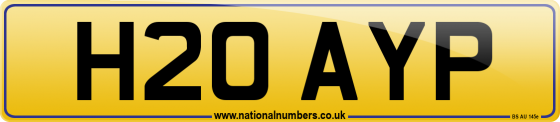 H20 AYP