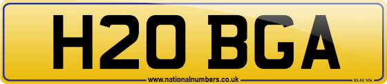 H20 BGA