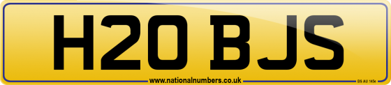 H20 BJS