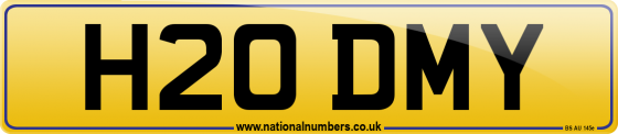 H20 DMY